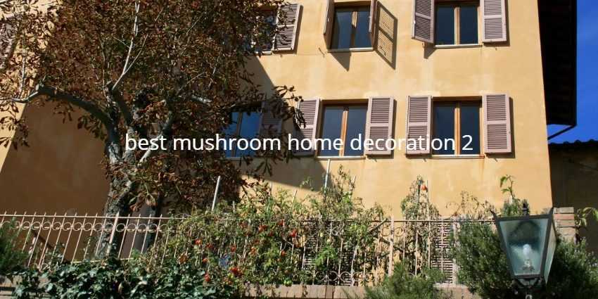 best mushroom home decoration 2
