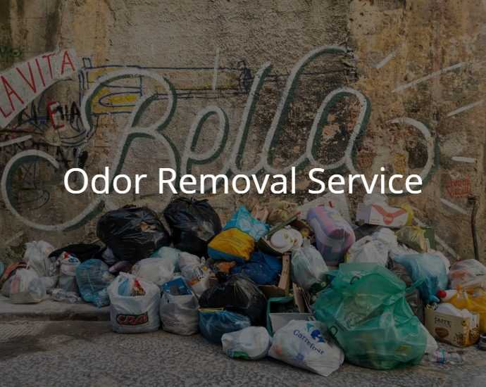 Odor removal service