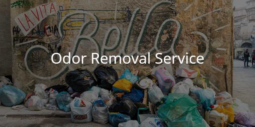Odor removal service