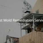 Best Mold Remediation Services